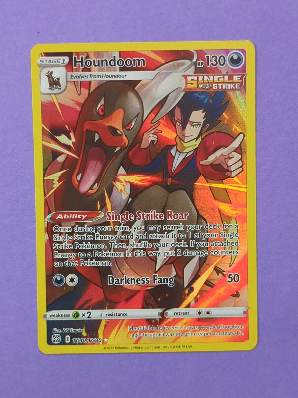 Houndoom - TG10/TG30 - Holo Rare Brilliant Stars - Pokemon - NM