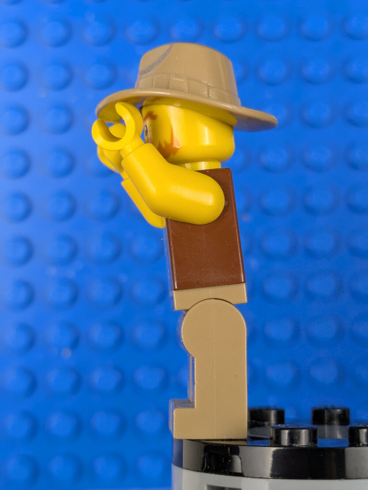 Lego Dino: Hero - Fedora dino005 Set 5884