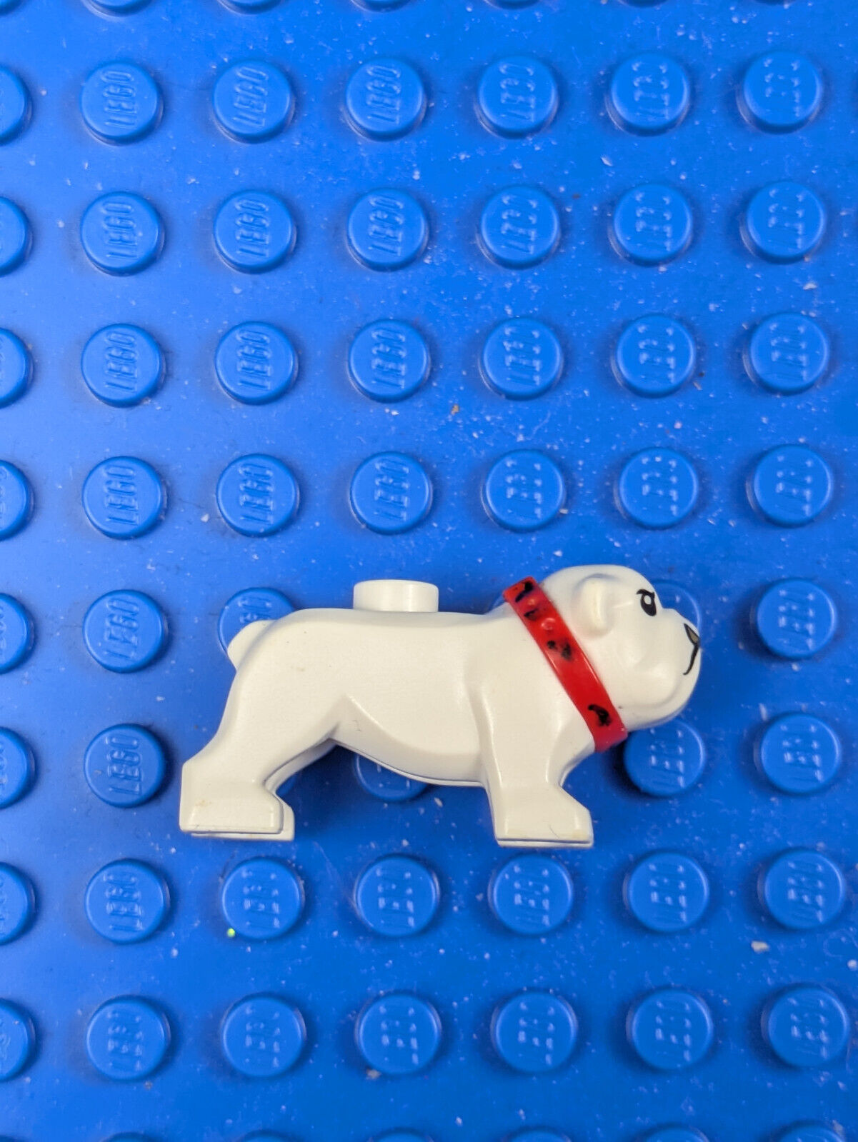 Lego Town: City: Animal: Bulldog (Dog) 65388pb01 Set 60246