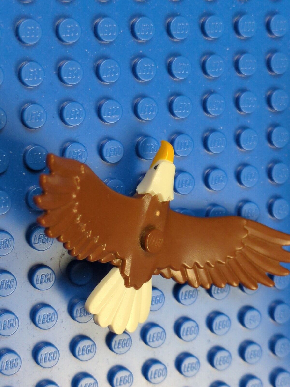 Lego Town: Recreation: Eagle with Yellow Beak 37543pb01 Set 60202