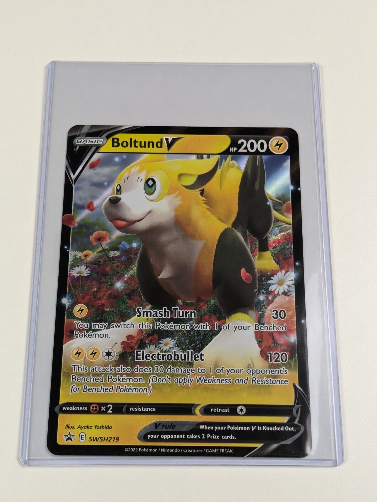 Boltund V - SWSH219 - Oversized Promo Sword & Shield Promos - Jumbo Pokemon - NM