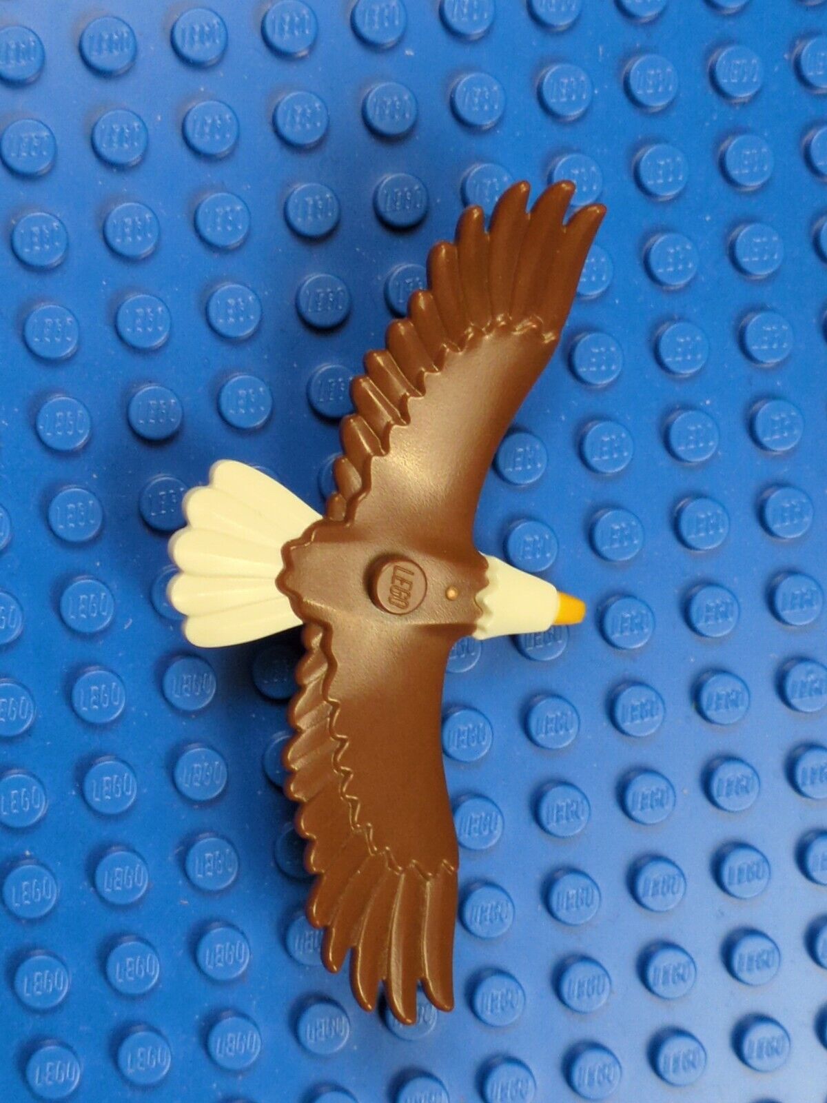 Lego Town: Recreation: Eagle with Yellow Beak 37543pb01 Set 60202